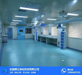 食品净化工程 安徽腾义 净化工程