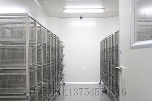 净化工程净化实验室设计与施工