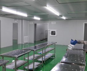 洁净室净化工程 滁州净化工程 安徽腾义 经验丰富