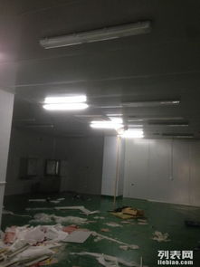 金山石化区食品厂专业净化工程 彩钢岩棉板隔断、车间隔墙与工装装修一体化解决方案